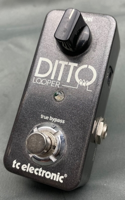 Store Special Product - TC Electronic - Ditto Looper Pedal